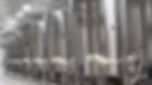 impes_galeria_2-uai-1000x562.jpg